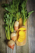 Load image into Gallery viewer, Heirloom Organic Detroit Gold Beet Seeds
