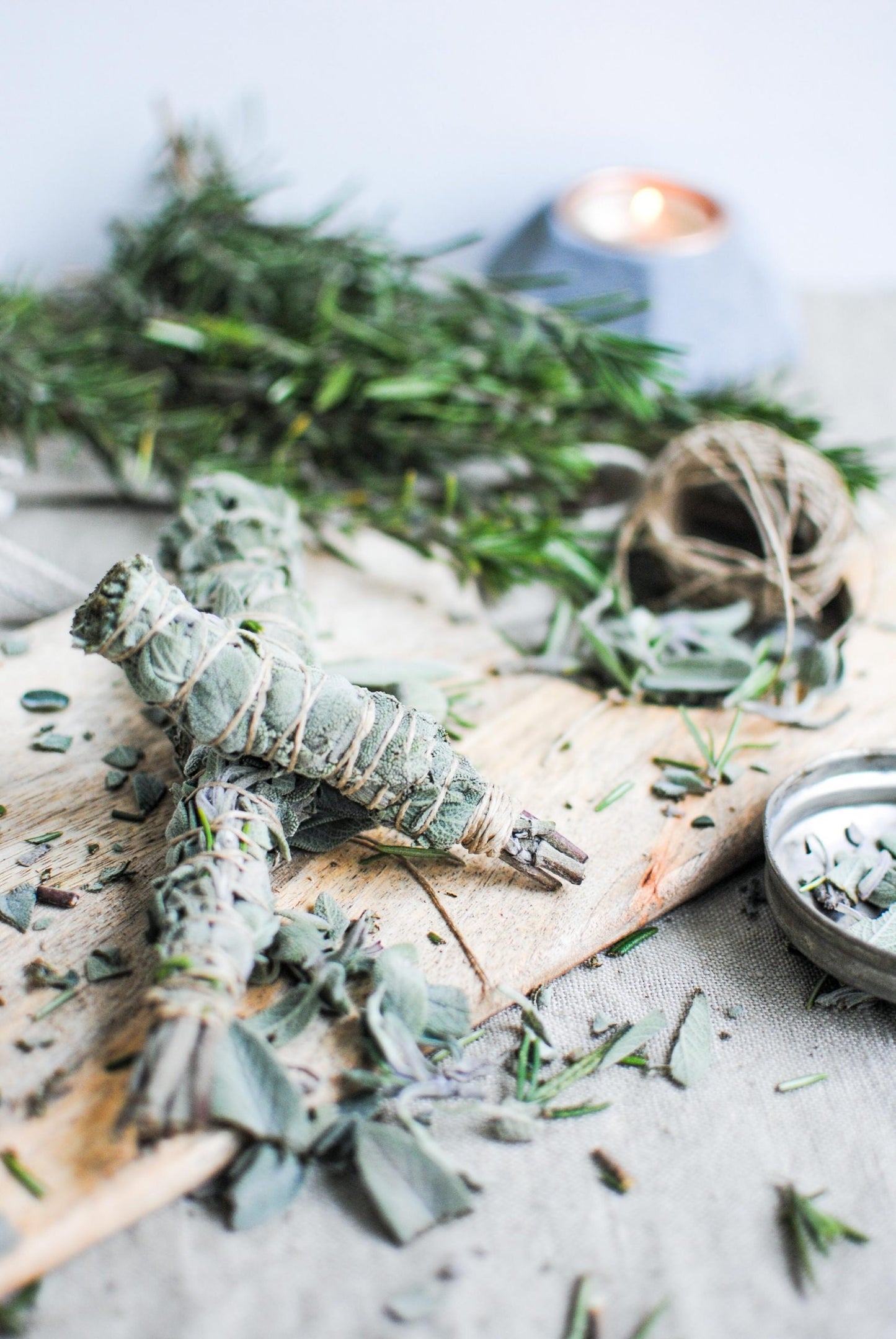 Heirloom Organic Sage Seeds  Aka Salvia Officinalis Medicinal Herbs, Garden Sage, Smudging, Green Sage, Common Sage, Smudge sticks