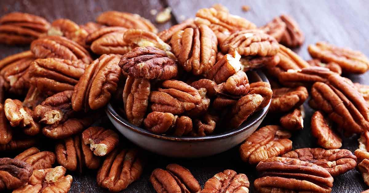 Heirloom Organic Pecan Tree Seeds (The perfect Memorial Trees or Landscaping Nut Trees to increase property value Carya illinoensis Seeds)