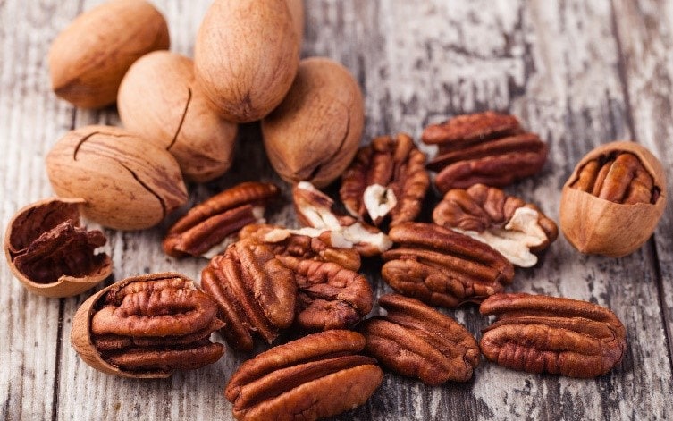 Heirloom Organic Pecan Tree Seeds (The perfect Memorial Trees or Landscaping Nut Trees to increase property value Carya illinoensis Seeds)