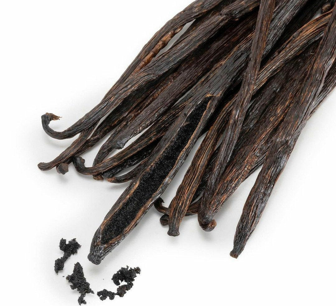 Heirloom Organic Vanilla VineVanilla  planifolia Seeds  !Vanilla bean Orchid seeds spices and herbs on site!