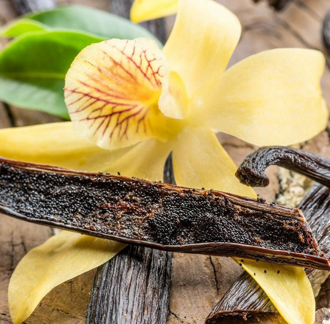 Heirloom Organic Vanilla VineVanilla  planifolia Seeds  !Vanilla bean Orchid seeds spices and herbs on site!
