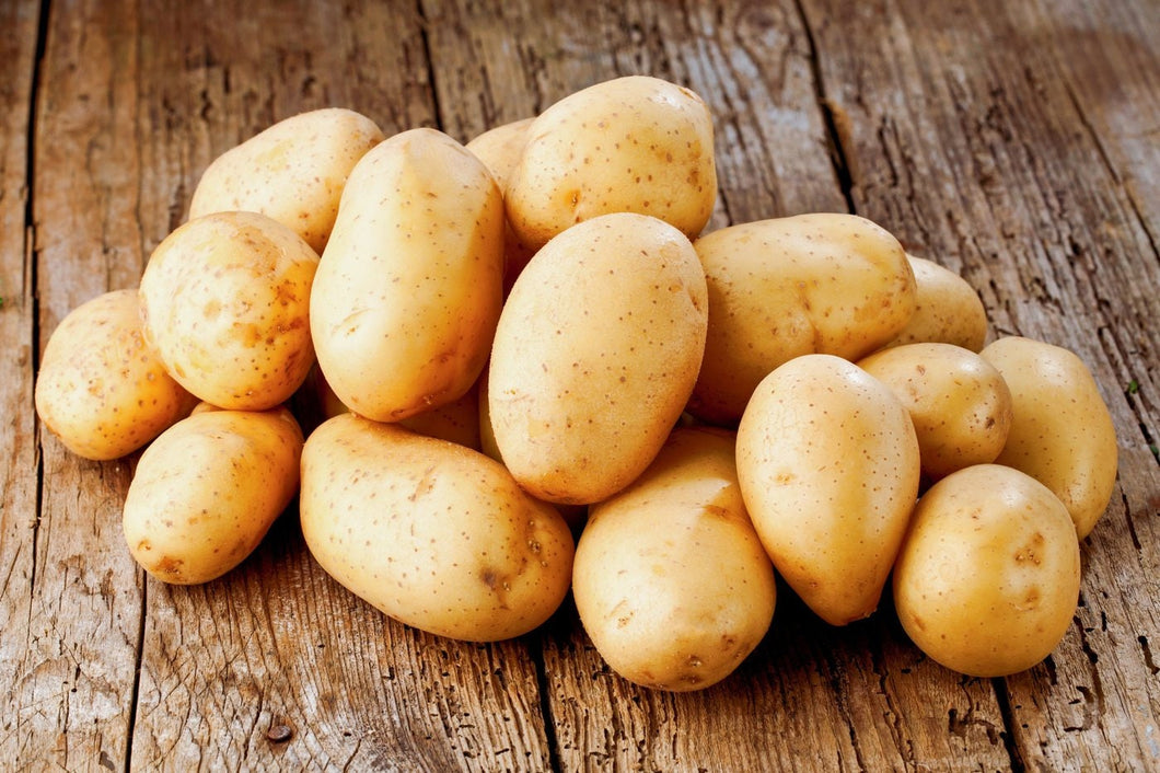 Heirloom Organic Potato Plants Live Seed Potatoes!