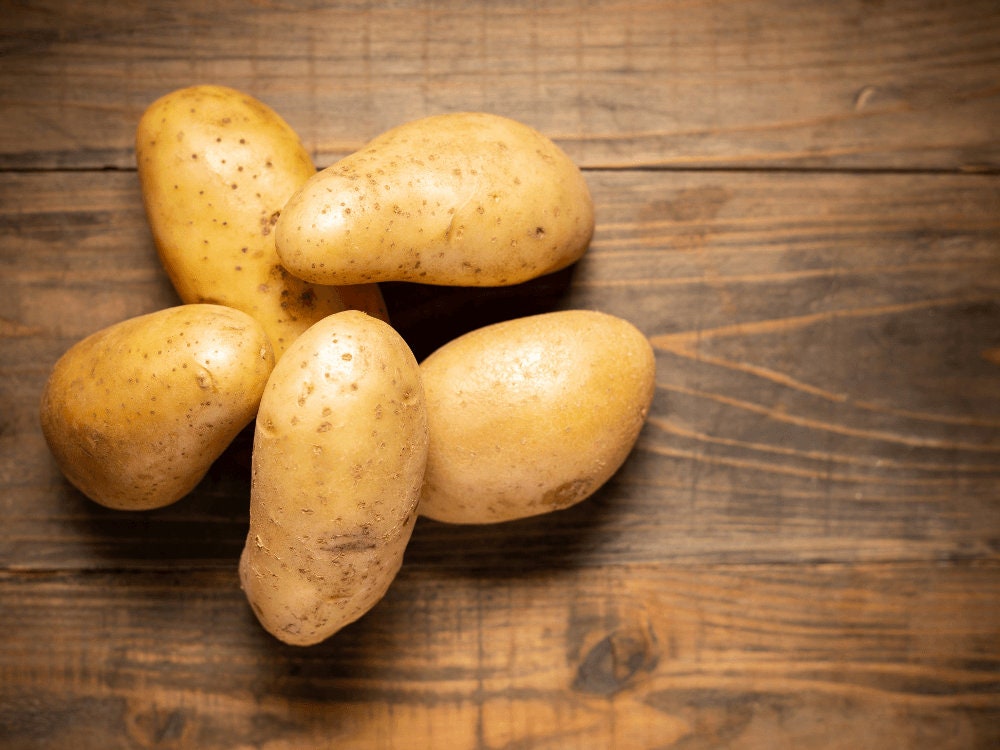 Heirloom Organic Potato Plants Live Seed Potatoes!