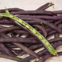 Load image into Gallery viewer, Organic Mississippi Purple Cowpeas Beans
