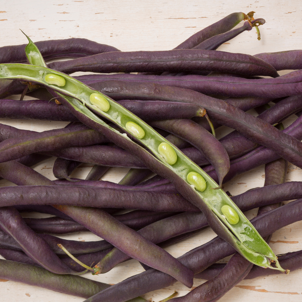 Organic Mississippi Purple Cowpeas Beans