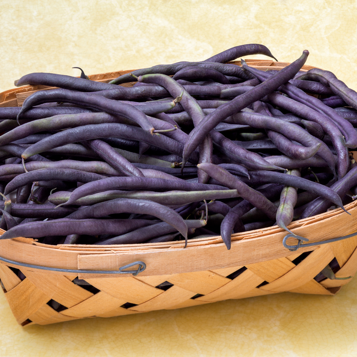 Organic Mississippi Purple Cowpeas Beans