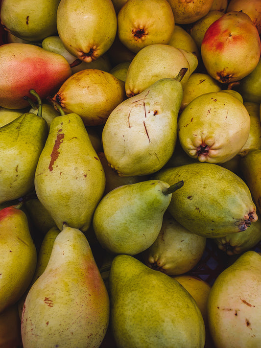 Caucasian Wild Pear