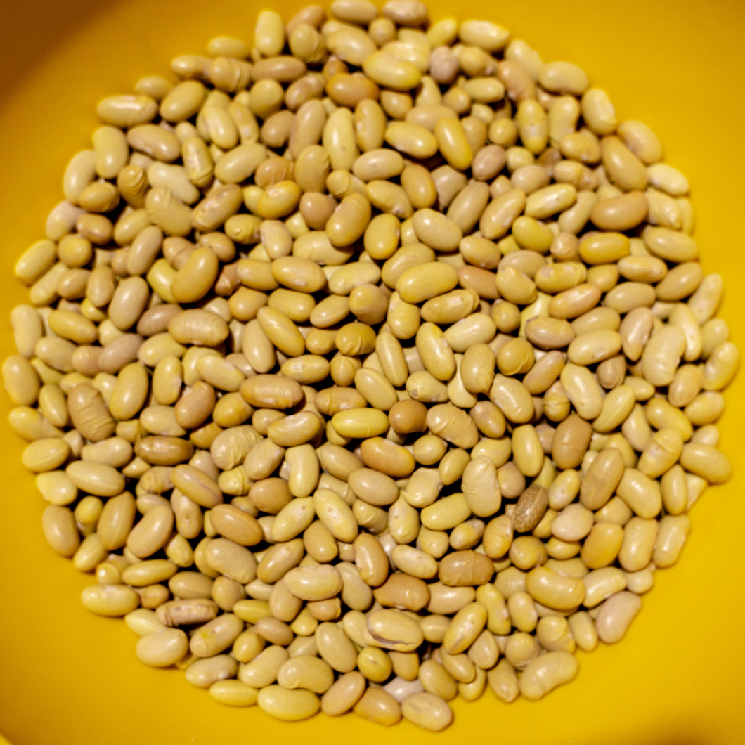 Heirloom Organic Peruano Beans Frijol Peruano Bush Beans