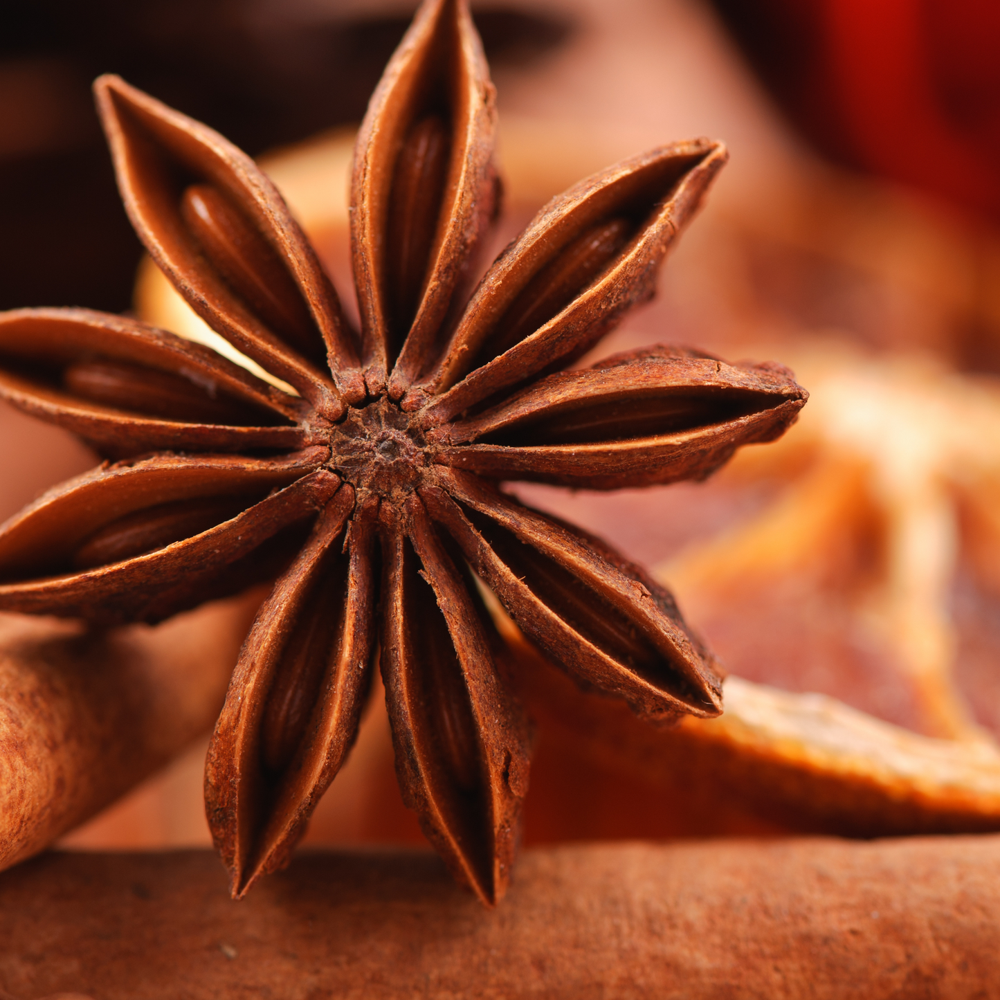 Organic Star Anise Seeds